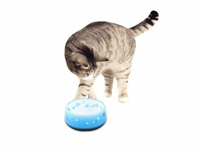 Cat Love Bowl - Blue