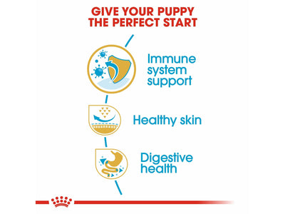 Breed Health Nutrition Pug Puppy 1.5 Kg