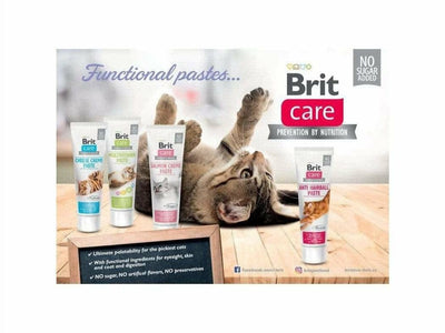 Brit Care Cat Paste Anti Hairball with Taurine 100 g