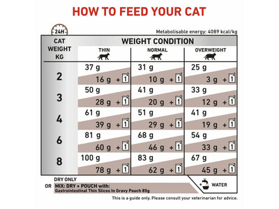 Vet Health Nutrition Feline Gastrointestinal 400G