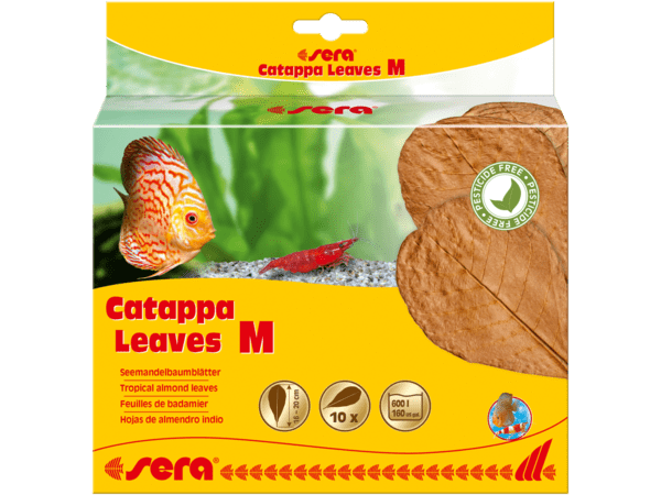 sera Catappa Leaves M 16-20 cm (10pcs)