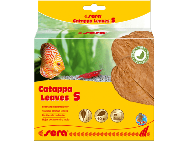 sera Catappa Leaves S 10-15 cm (10pcs)