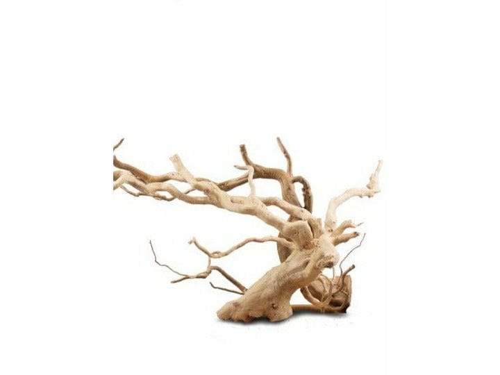 Cuckoo root (spider wood)-MIX Size per KG