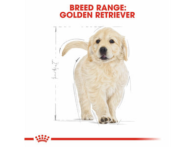 Breed Health Nutrition Golden Retriever Puppy 12 Kg