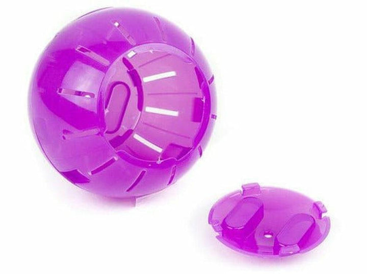 HAMSTER BALL S PURPLE Training Ball for Hamsters Pet Shop Doha Pets Qatar