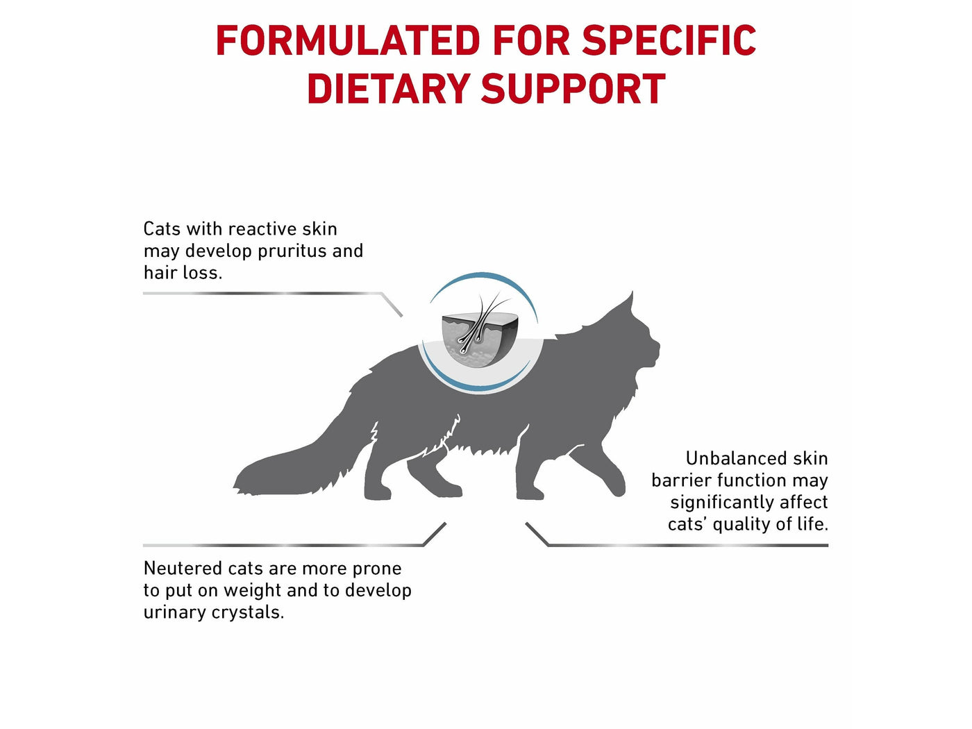 Vet Health Nutrition Feline Skin & Coat 400G
