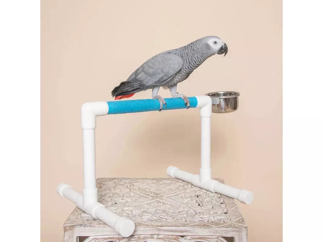 Bird Perch Stand