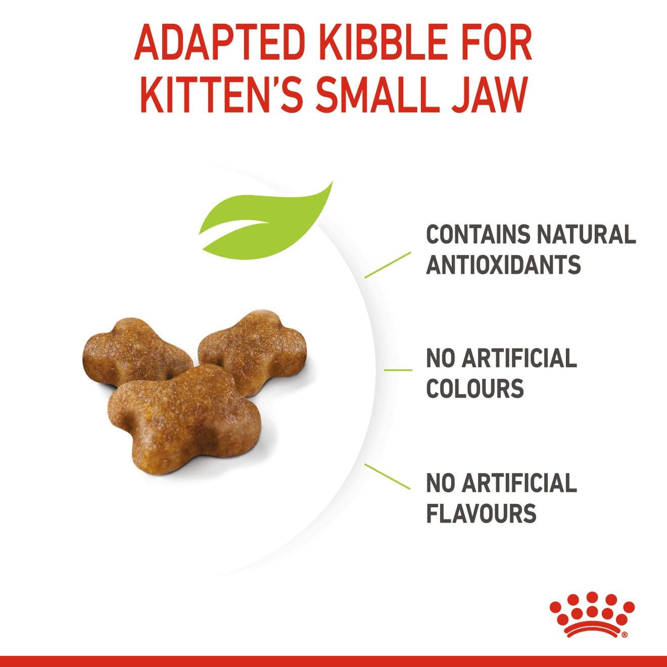 Feline Health Nutrition Kitten 10 KG