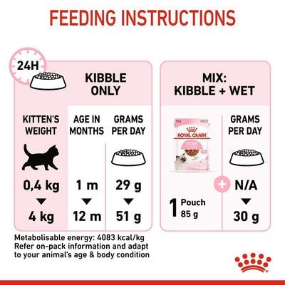 التغذية الصحية للقطط الصغيرة 4 كجم