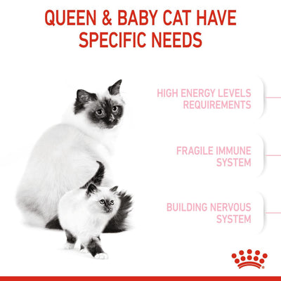 Royal Canin Feline Health Nutrition Mother and Babycat 2 KG