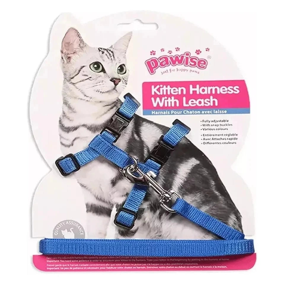 Kitten leash clearance