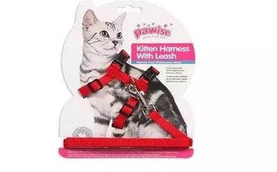 PAWISE Kitten Harness (19-32/27-47cm) W/1.2 Leash- M