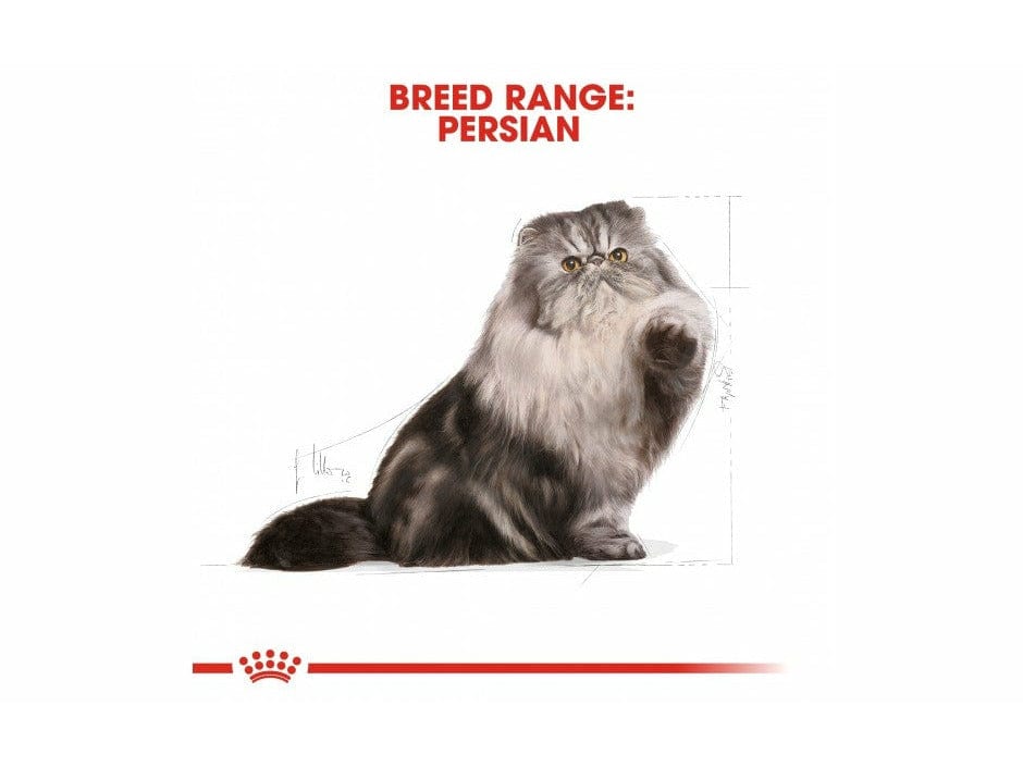 Feline Breed Nutrition Persian Adult 2 KG