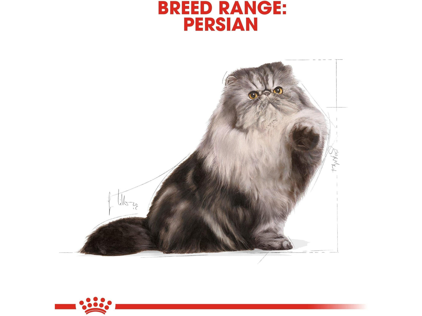 Feline Breed Nutrition Persian Adult 10 KG