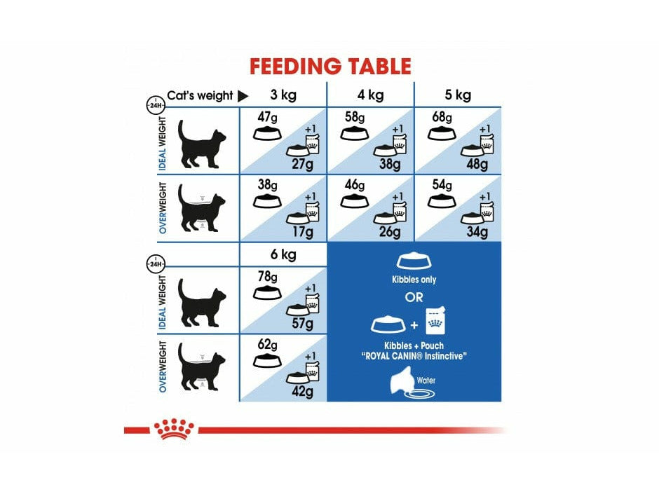 التغذية الصحية للقطط للتحكم في شهيتها للقطط 2 كجم