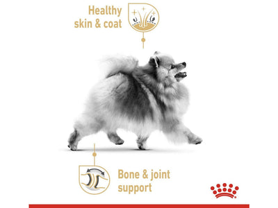 Breed Health Nutrition كلب صغير طويل الشعر (12X85G طعام رطب - أكياس)