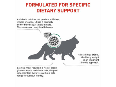 Vet Health Nutrition Feline Diabetic 1.5 KG