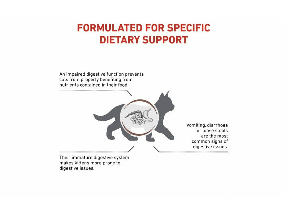 Vet Health Nutrition Feline Gastrointestinal Kitten 2 KG