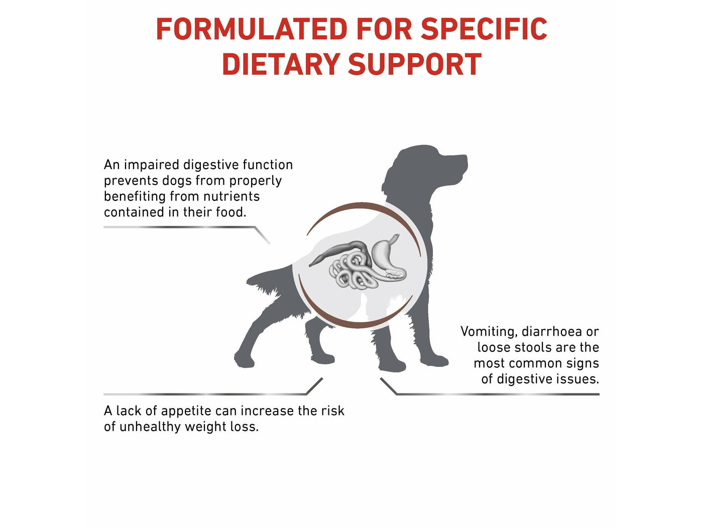 Vet Health Nutrition Canine GastroIntestinal 2 KG