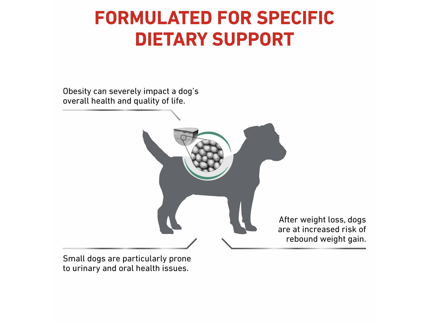 فيت - التغذية الصحية - شبع الكلاب - كلب صغير 1.5 كجم
