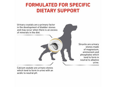 Vet Health Nutrition Canine Urinary S/O 2 KG