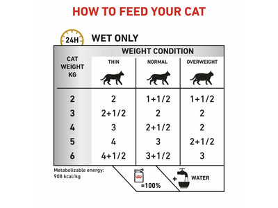 Vet Health Nutrition Feline Urinary 85GX12 WET FOOD - Pouches