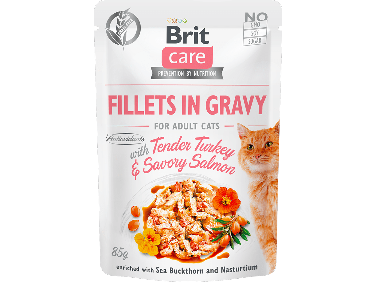 Brit Care Cat Fillets in Gravy with Tender Turkey & Savory Salmon 24x85g