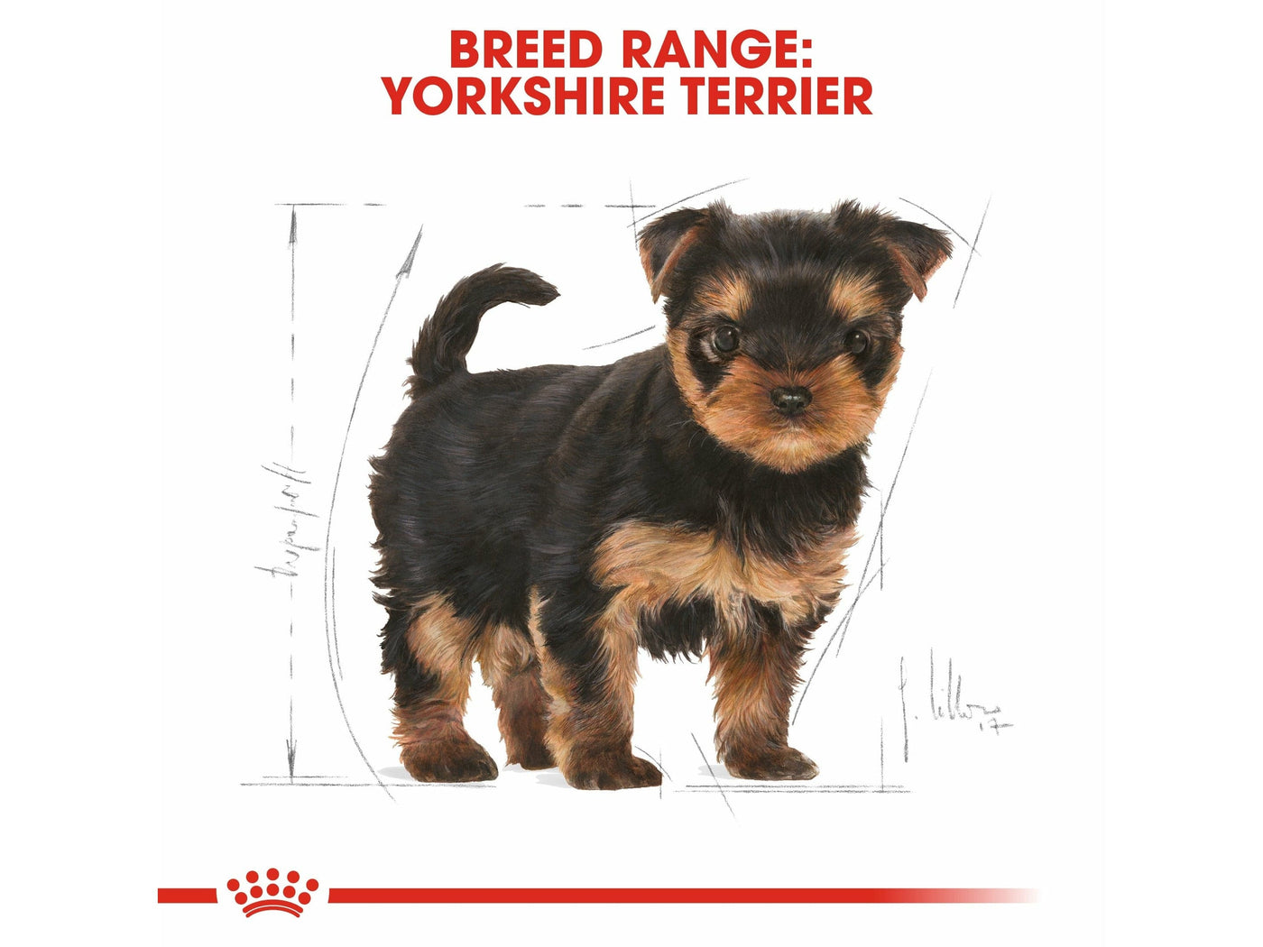 Breed Health Nutrition Yorkshire Puppy 1.5 Kg